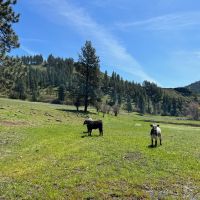 Perry Mill Ranch images 2