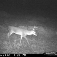 180 Acres in Central Texas
