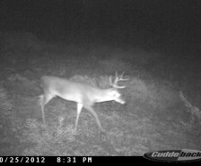 180 Acres in Central Texas