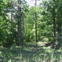 New Oxford, MS QDM Hunting Club