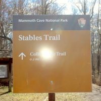 51.82 Acres with Horse Riding Business joining Mammoth Cave National Park images 2