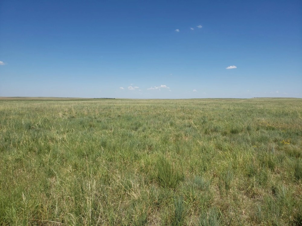 Washington County Grass and Hunting featured image