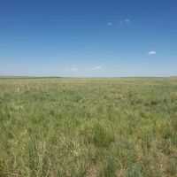 Washington County Grass and Hunting