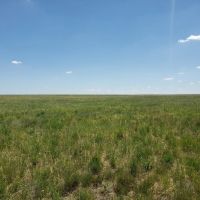 Washington County Grass and Hunting images 2