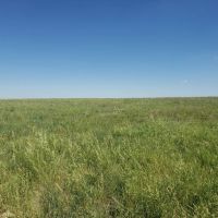 Washington County Grass and Hunting images 3