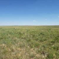 Washington County Grass and Hunting images 4