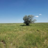 Washington County Grass and Hunting images 5