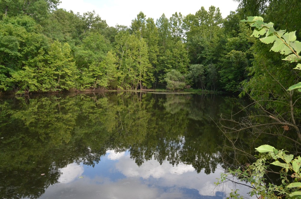 Large Acreage Timber Tract With Niangua River Frontage At Bennett Springs State Park featured image