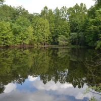 Large Acreage Timber Tract With Niangua River Frontage At Bennett Springs State Park