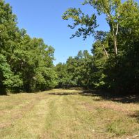 Large Acreage Timber Tract With Niangua River Frontage At Bennett Springs State Park images 2