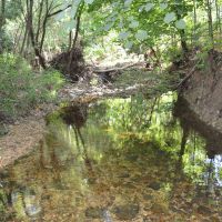 Large Acreage Timber Tract With Niangua River Frontage At Bennett Springs State Park images 3