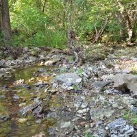 Large Acreage Timber Tract With Niangua River Frontage At Bennett Springs State Park images 4