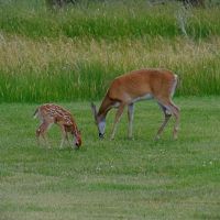 Sundance Retreat and Ranching images 3