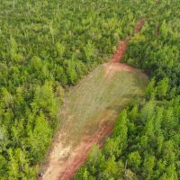 163 acres of Prime Hunting Land in Dallas County AL