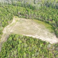 163 acres of Prime Hunting Land in Dallas County AL images 4