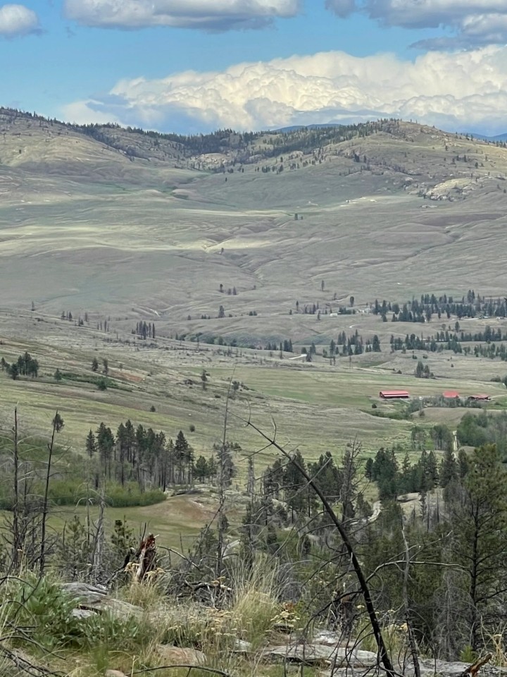 Lockman Ridge Lookout featured image