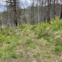Lockman Ridge Lookout images 3