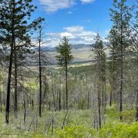 Lockman Ridge Lookout images 4