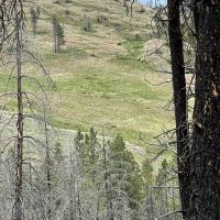 Lockman Ridge Lookout images 5