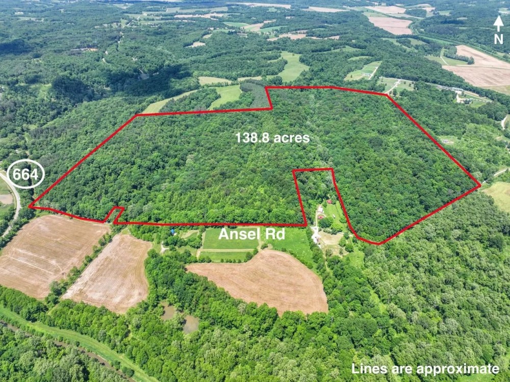 Ansel Rd - 138 acres - Hocking County featured image