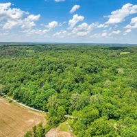 Ansel Rd - 138 acres - Hocking County images 3