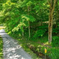 Ansel Rd - 138 acres - Hocking County images 4