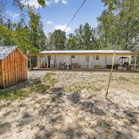 124 Acres of Timberland on Beaver Creek in Amite Co MS images 2