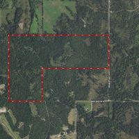 Top Notch 160 - Acre Recreational Tract in Bristow images 3