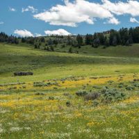 Indart Ranch images 2