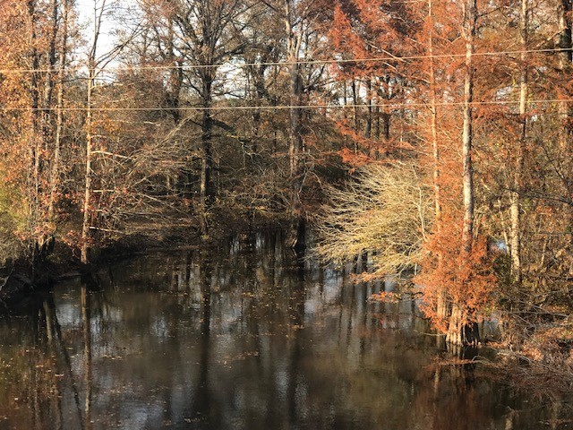 LA - Caldwell 173 acres - featured image