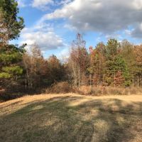 LA - Caldwell 173 acres - images 3