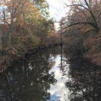 LA - Caldwell 173 acres - images 4