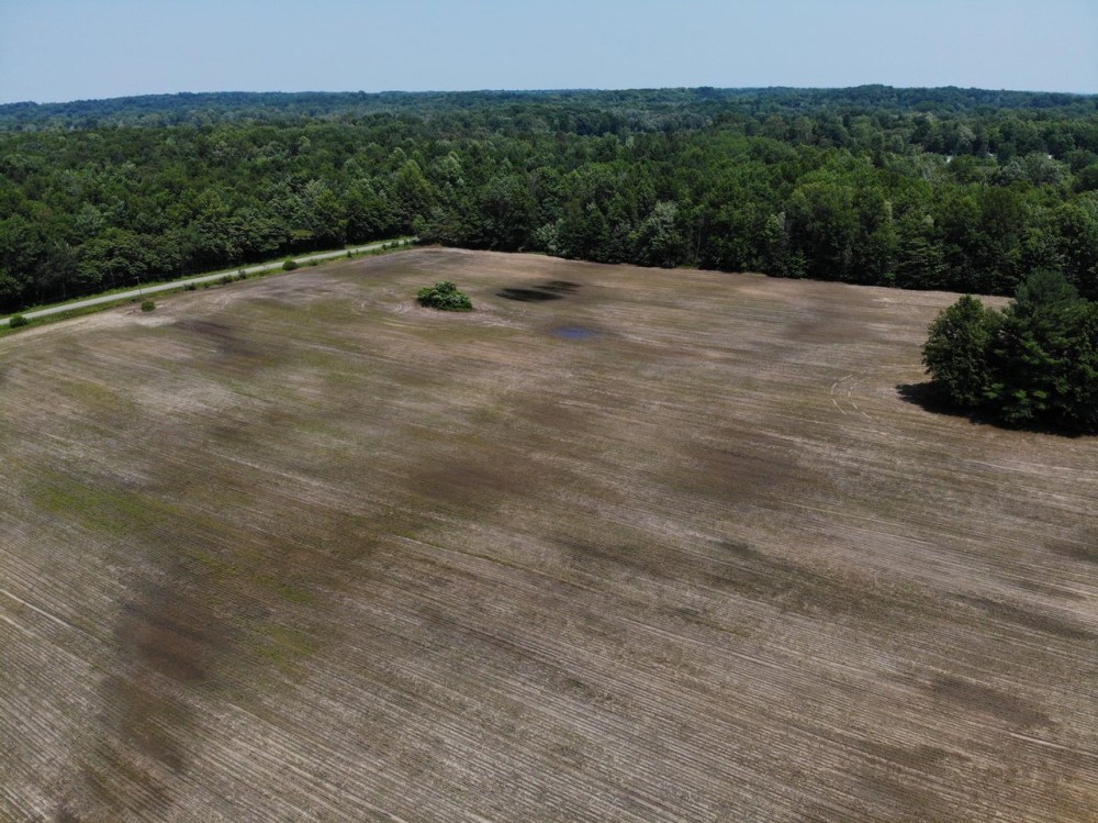 78.4 - Acres of Hunting Land with Tillable for sale 47401 28th Ave Bangor MI. featured image