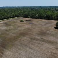78.4 - Acres of Hunting Land with Tillable for sale 47401 28th Ave Bangor MI.