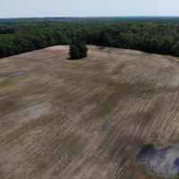 78.4 - Acres of Hunting Land with Tillable for sale 47401 28th Ave Bangor MI. images 2