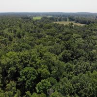 78.4 - Acres of Hunting Land with Tillable for sale 47401 28th Ave Bangor MI. images 3
