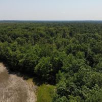 78.4 - Acres of Hunting Land with Tillable for sale 47401 28th Ave Bangor MI. images 4