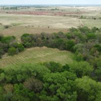 Big Buck Flour Mill images 1