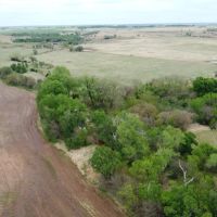 Big Buck Flour Mill images 3
