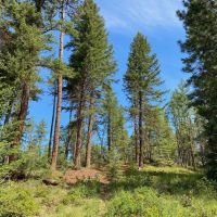 The Legend of Cove Creek Ranch images 4