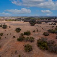 Twelve Oak Ranch - Tract 3 CR103 images 3