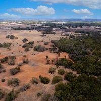 Twelve Oak Ranch - Tract 3 CR103 images 4