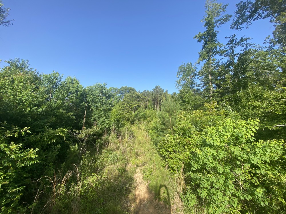 LA - Caldwell 19.18 acres - featured image