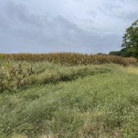 80 Acres In Clark County Illinois