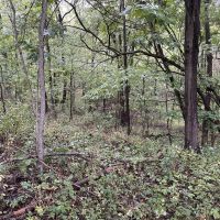 80 Acres In Clark County Illinois images 2