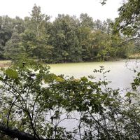 80 Acres In Clark County Illinois images 3