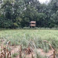 80 Acres In Clark County Illinois images 4