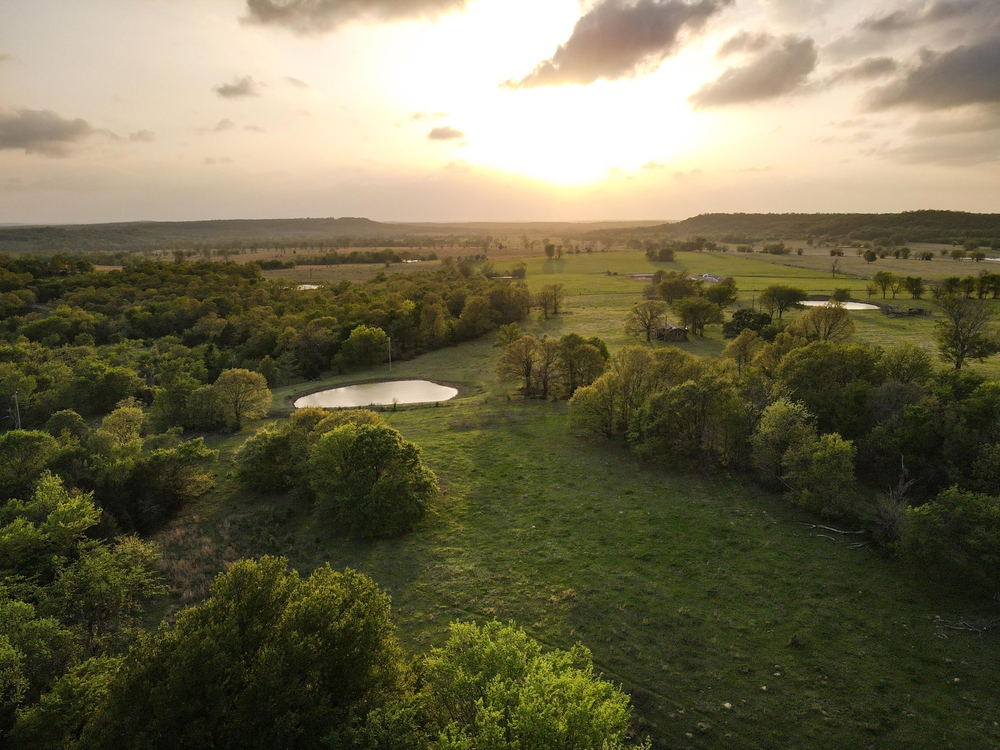 Wardville 260 Hunting Land for Sale