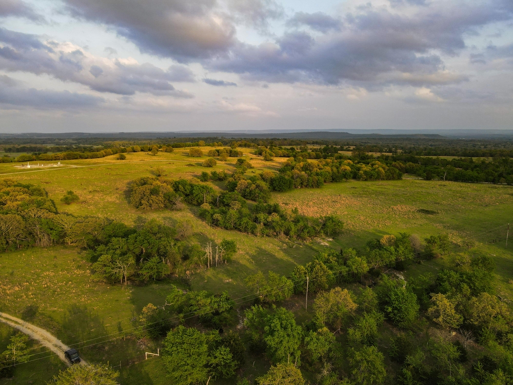 Wardville 260 Hunting Land for Sale