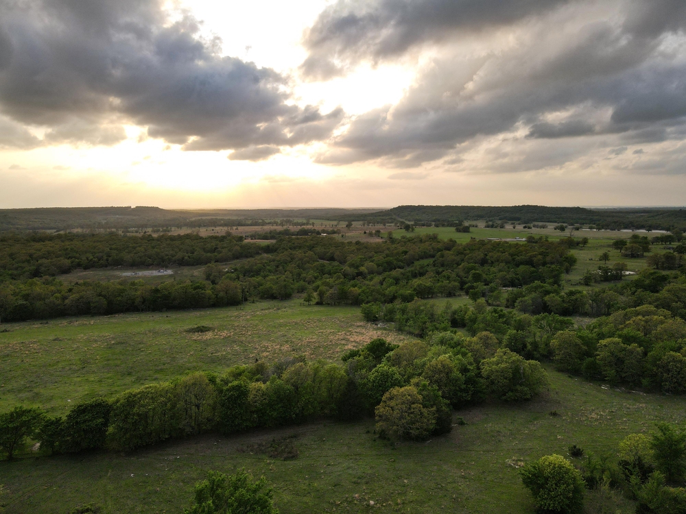 Wardville 260 Hunting Land for Sale